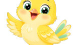 csibeavato-2131