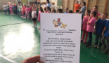csibeavato-1237