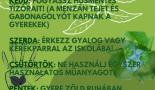 napi-zold-kihivasok