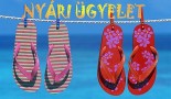 nyari-vezetoi-ugyelet-1155