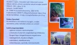 nyari-tabor-1426